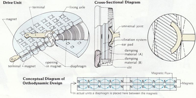 800px-Yamaha_Ortho.jpg